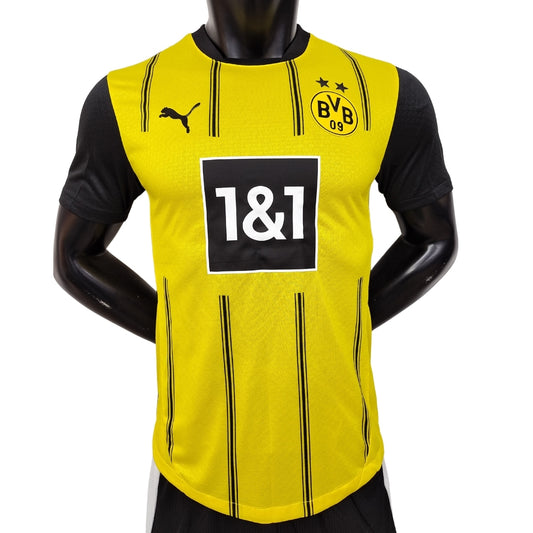 BVB 24/25